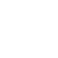 AIPL - Real Estate Developer