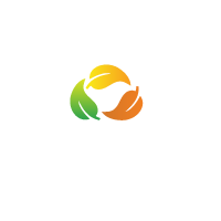 Central Park - Real Estate Developer