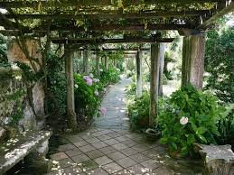 Land scape Garden