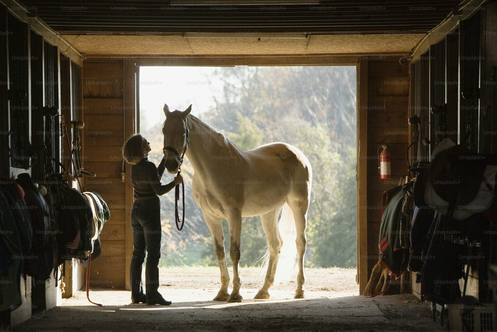 Horse Stable