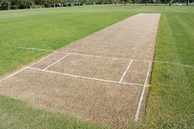 cricket pitch